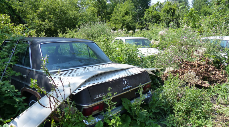 Illustration for article titled A Michigan Town Is Forcing This Man To Sell 20 Old Cars Off His Property Every Month
